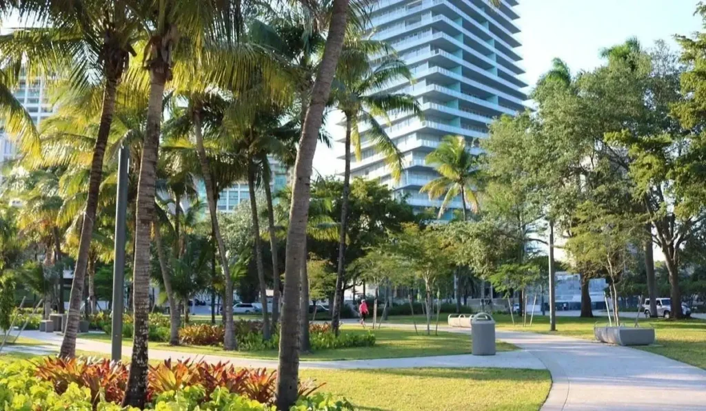 Urban park with palm trees and glass residential tower in Miami.