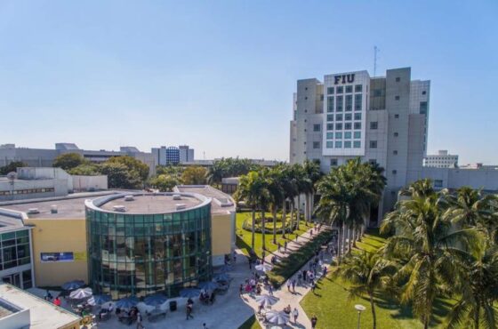 Investing in properties near universities