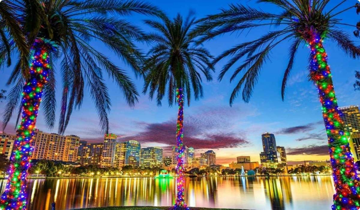Palmeras iluminadas con luces de colores frente a un lago, creando un ambiente festivo y acogedor en Florida.