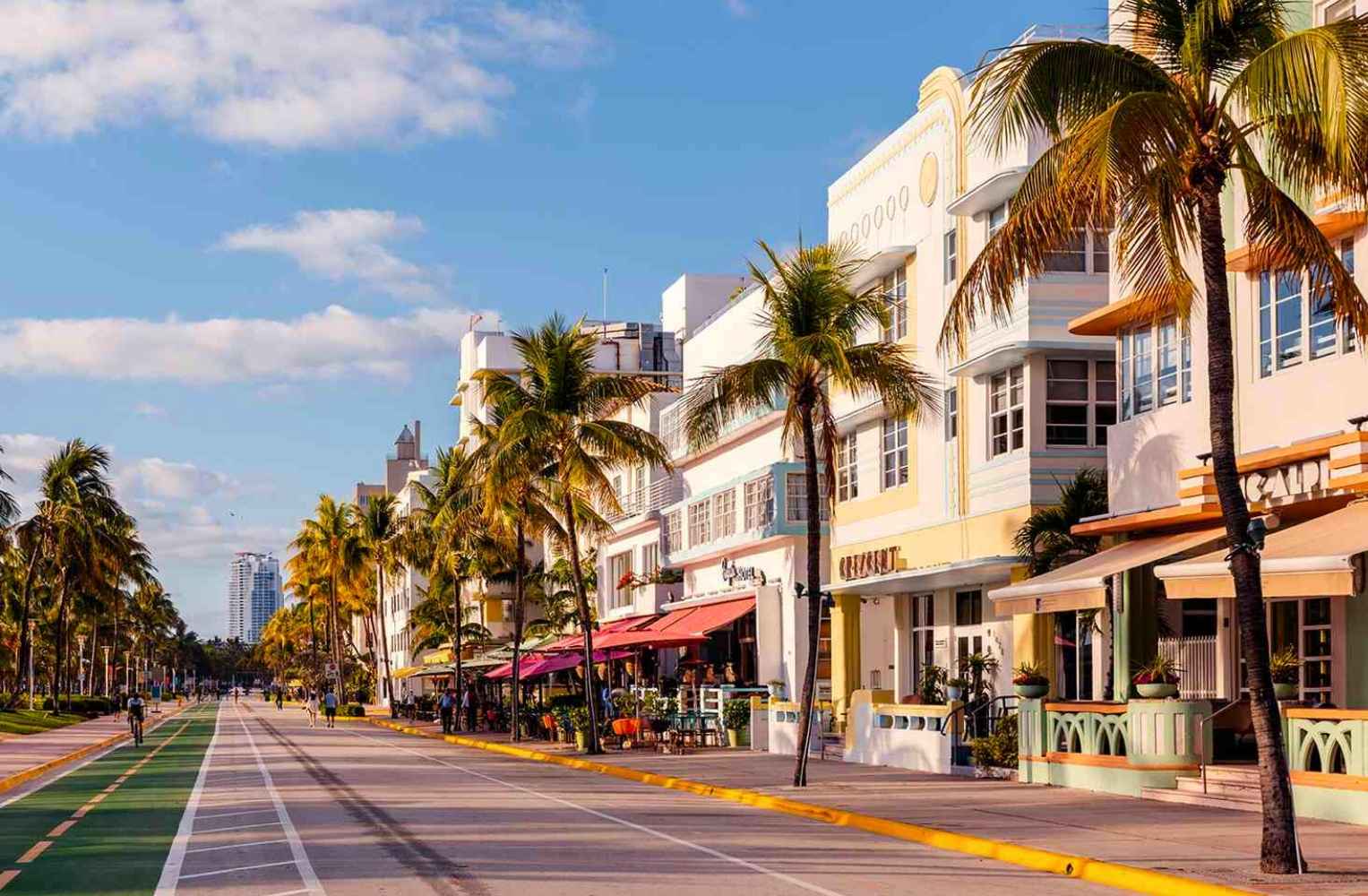 Calle bordeada de palmeras y edificios, creando un ambiente tropical y urbano.