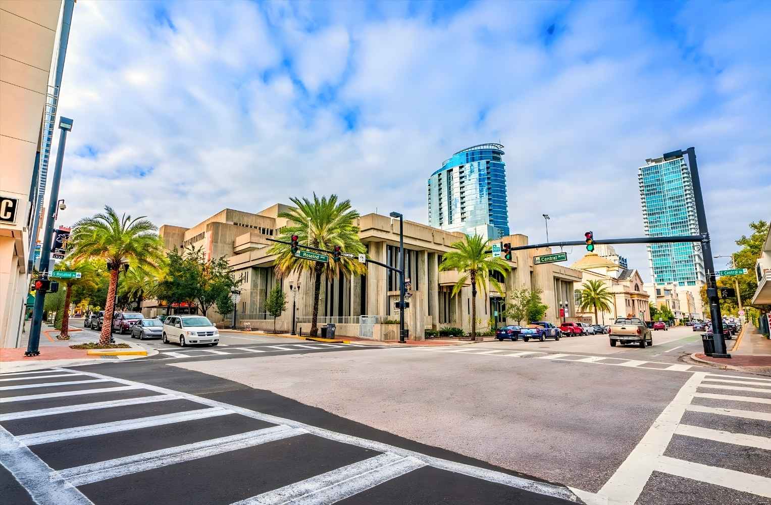 Calle de la ciudad adornada con palmeras y edificios modernos al fondo.