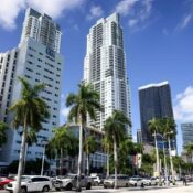 Vista desde la calle de modernos rascacielos blancos y edificios de oficinas en el centro de Miami, con palmeras altas y autos estacionados bajo un cielo azul.