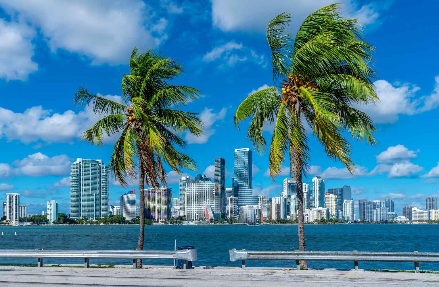 Impresionante skyline de edificios modernos en Miami visto desde la costa, con palmeras en primer plano y el mar azul.