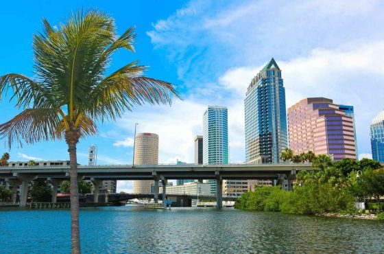 Areas with the most investment potential in Tampa