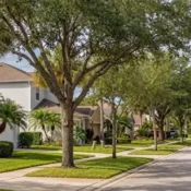 Calle residencial con casas y palmeras en comunidad de Davenport Florida.