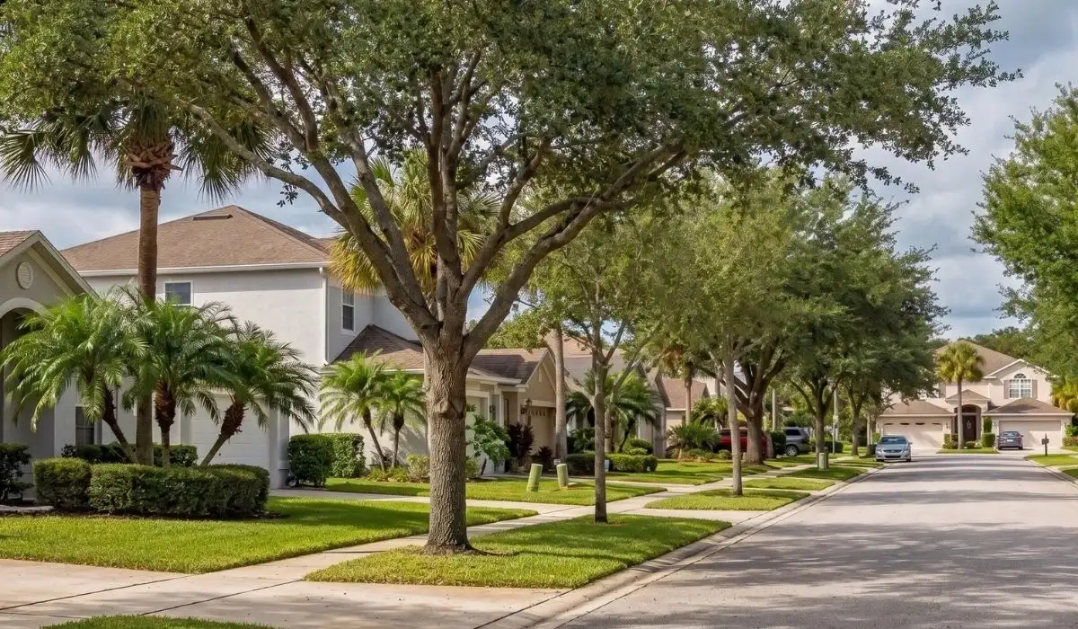 Calle residencial con casas y palmeras en comunidad de Davenport Florida.